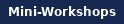 Mini-Workshops